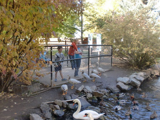 Zootah At Willow Park